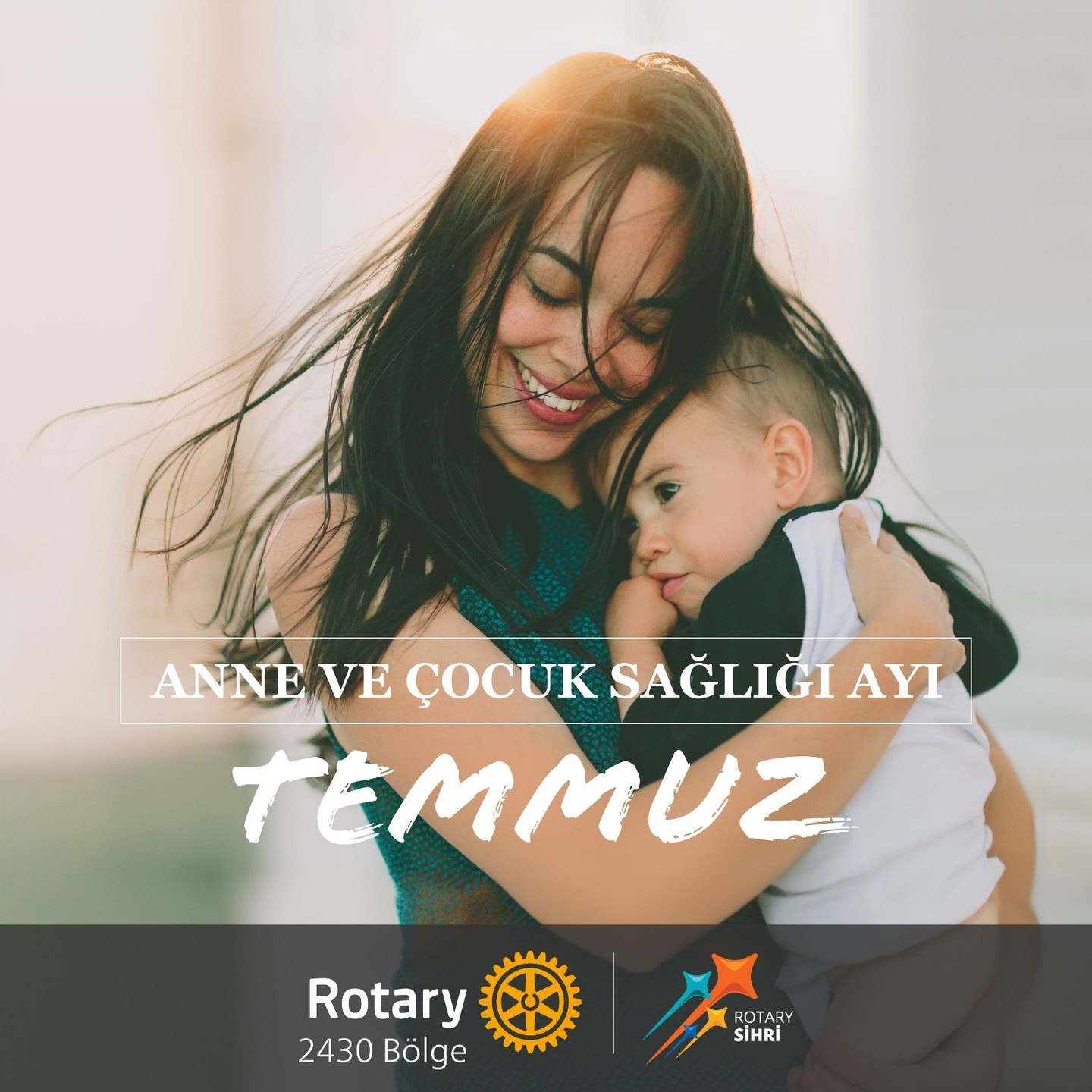 Rotary'de her ayın bir teması vardır