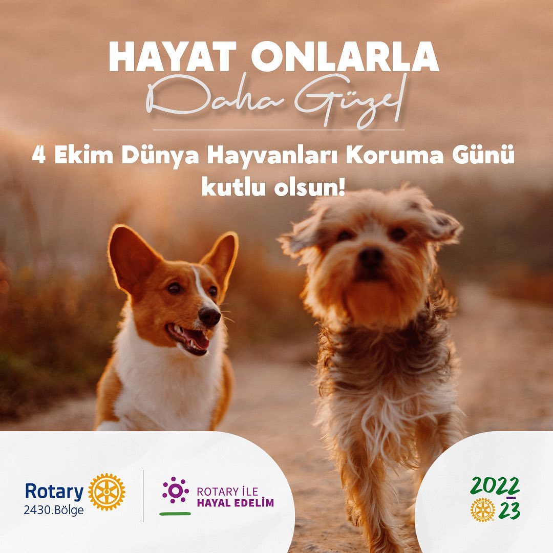Instagram gönderisi · 4 Ekim 2022